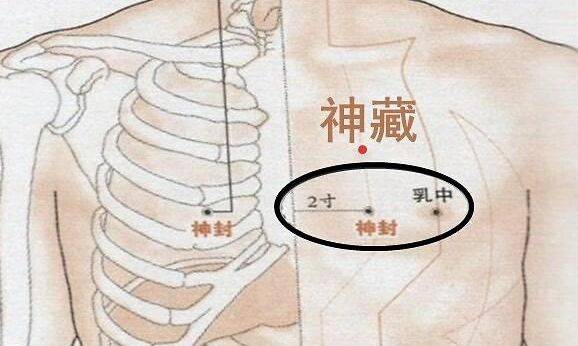 乳房保健 顾护肝脾肾是关键-第1张图片-中国中医健康网