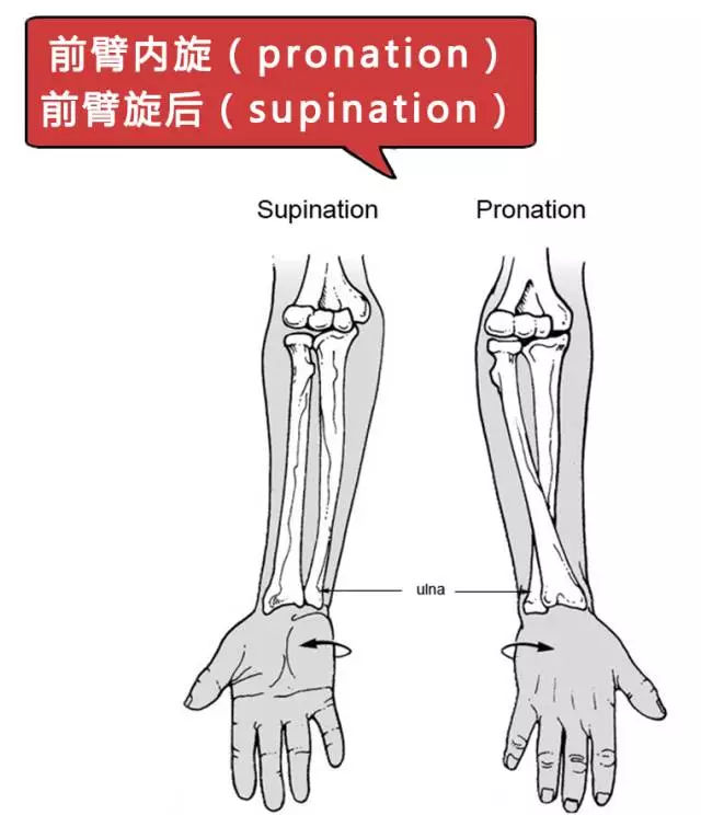 小体操让手腕舒服起来-第1张图片-中国中医健康网